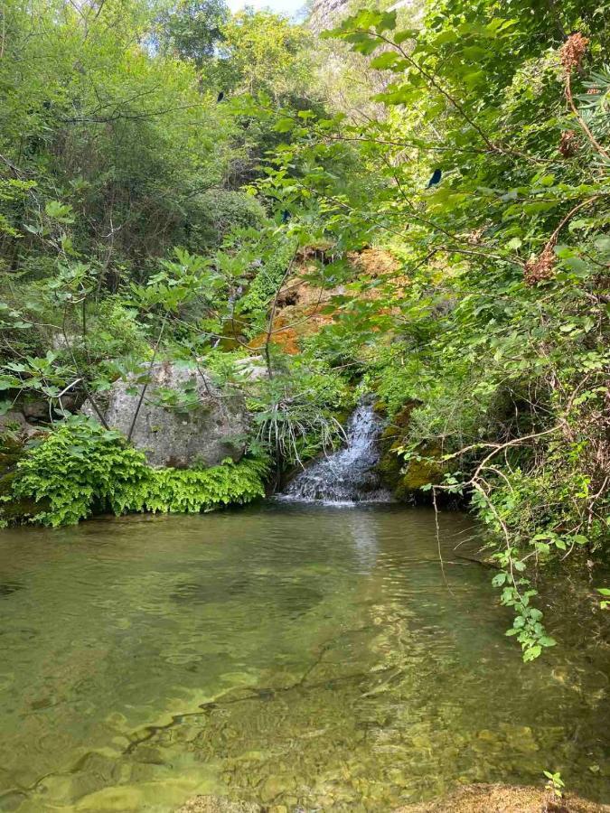 Holiday Home Pavle Rijeka Crnojevica Bagian luar foto